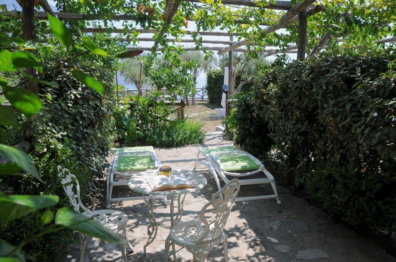 Hotel Dimora Fornillo Positano Eksteriør billede